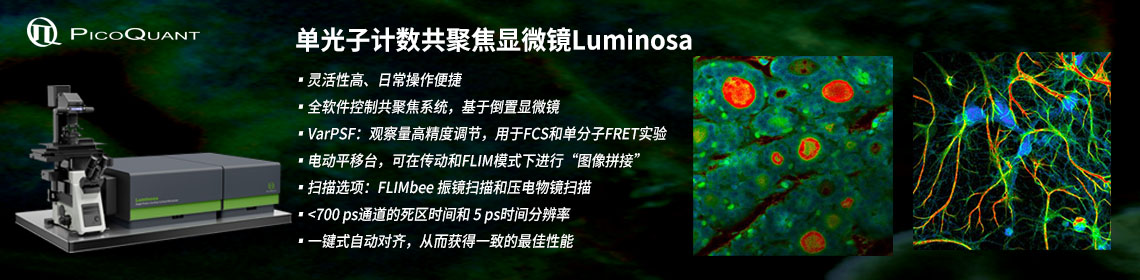 单光子计数共聚焦显微镜Luminosa